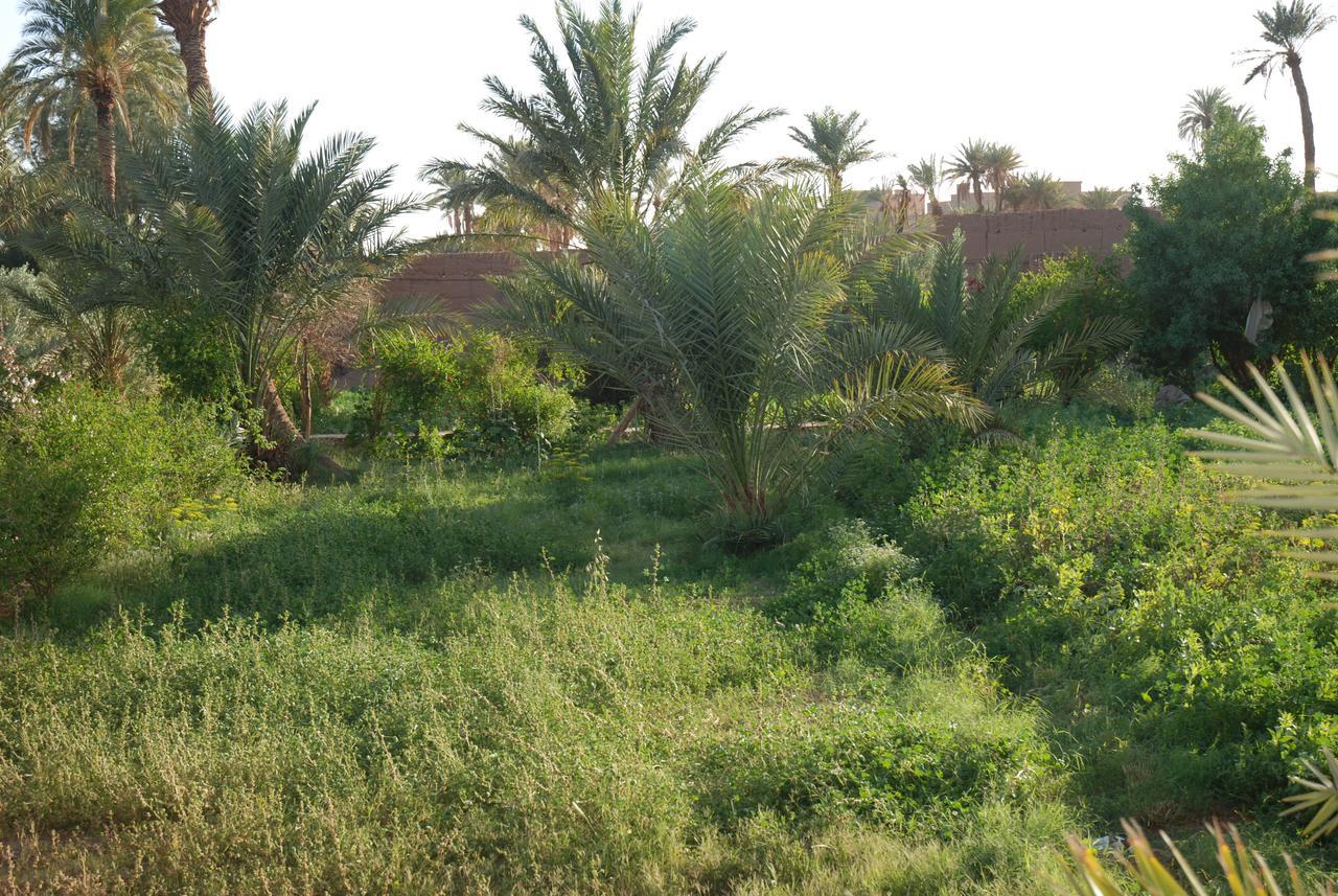 Tamgrout D'Hote Jnane-Dar Diafa מראה חיצוני תמונה